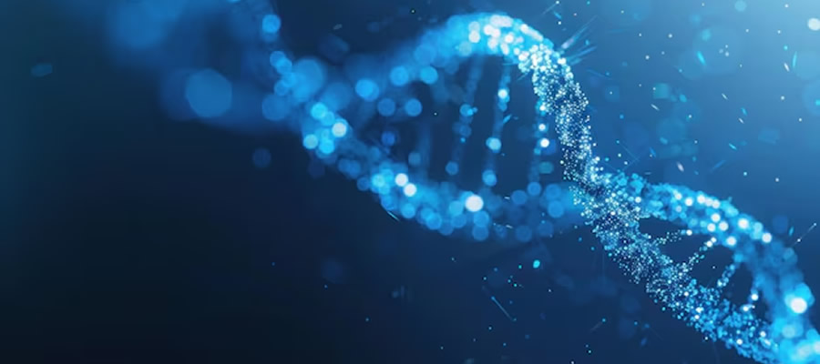 November 2025 Market Overview