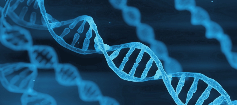 January 2025 Market Overview